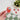 Cardiac Strip Sticker