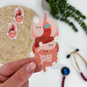 Internal Organs Sticker
