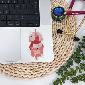 Internal Organs Sticker