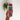 Floral Nurse Slim Can Coozie