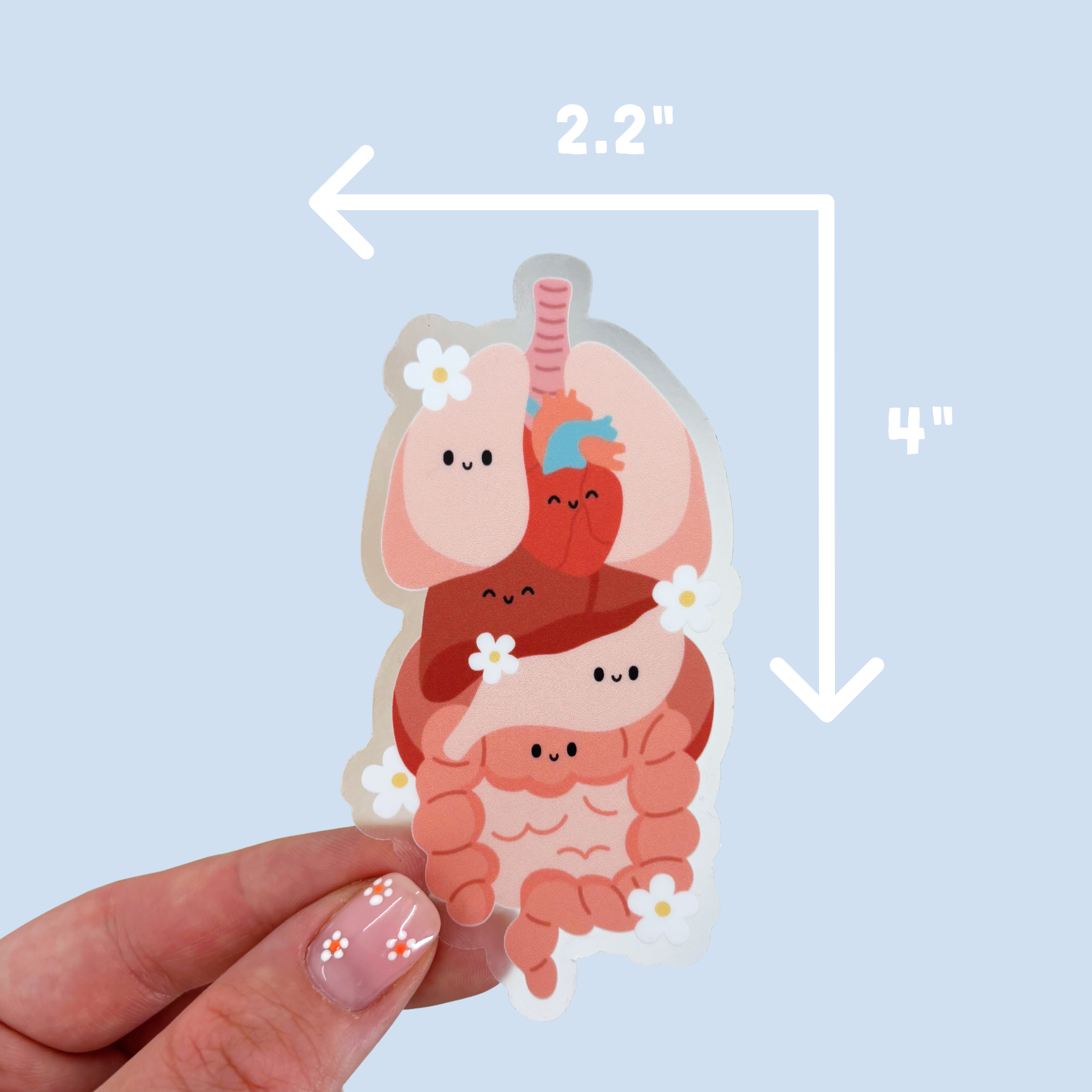 Internal Sticker Internal Organs Sticker – Her Crescent & Co