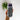 Sage Stethoscope Slim Can Coozie