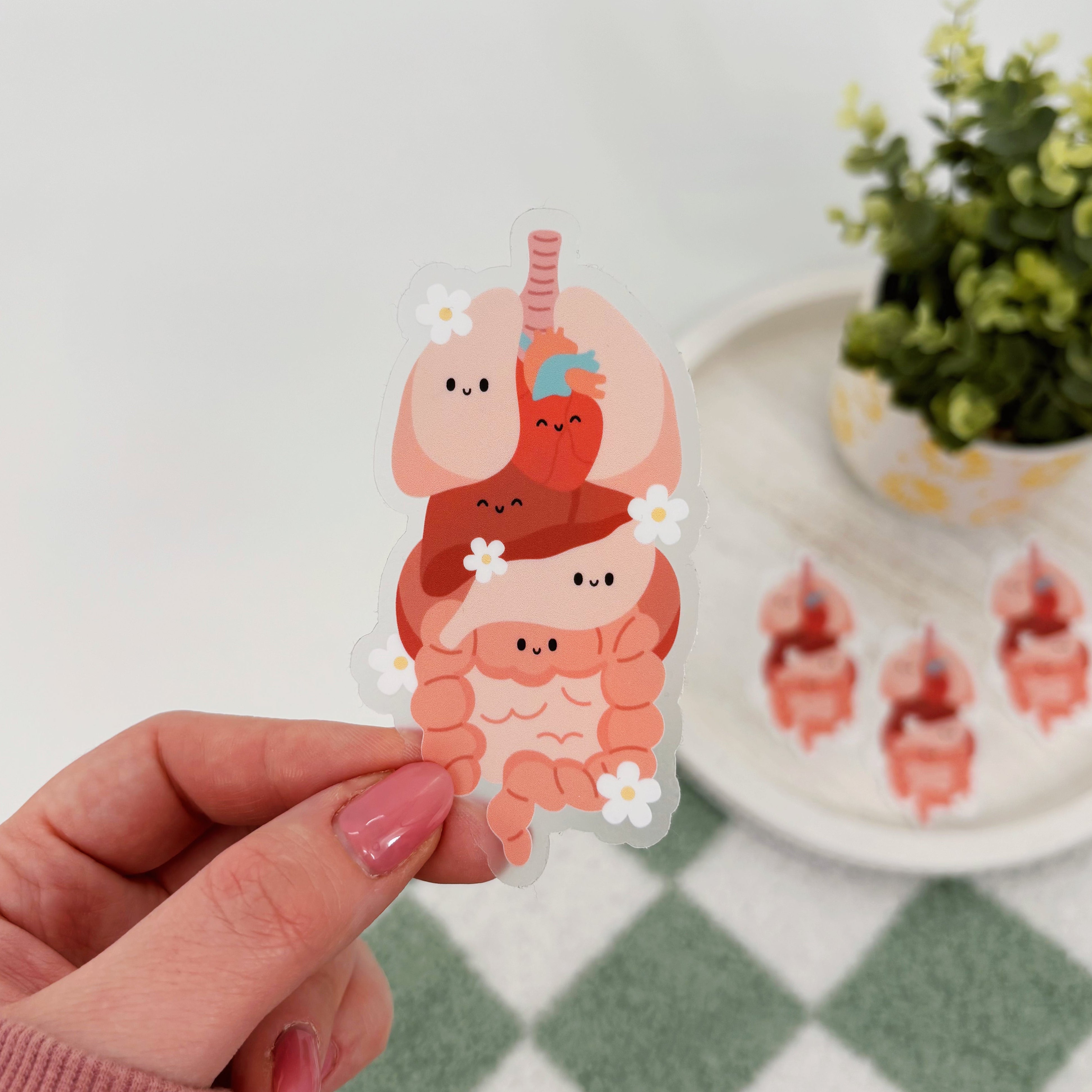 Internal Innformation Sticker Internal Organs Sticker – Her Crescent & Co