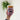 Nurses Week Coffee Coozie