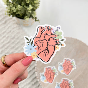 Sale: Anatomical Heart Sticker