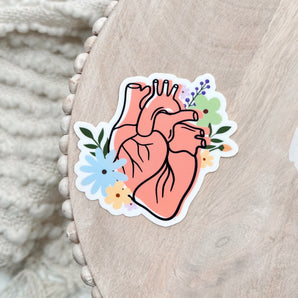 Sale: Anatomical Heart Sticker